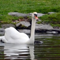 Záchranná stanice Makov