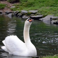 Záchranná stanice Makov