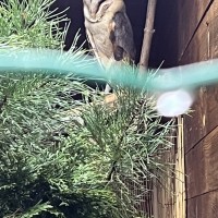 Záchranná stanice Makov