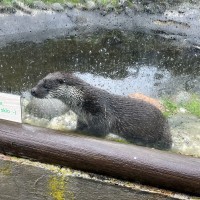 Záchranná stanice Makov