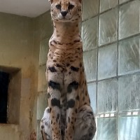 Školní výlet - 3. A, 3. B, 3. C