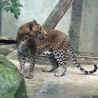 Školní výlet - 3. A, 3. B, 3. C