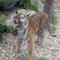 Školní výlet - 3. A, 3. B, 3. C