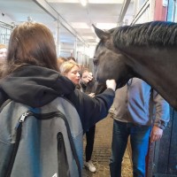 Návštěva v Zemském hřebčinci v Písku