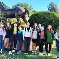 Návštěva v Zemském hřebčinci v Písku