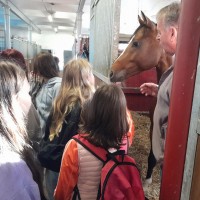 Návštěva v Zemském hřebčinci v Písku