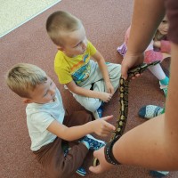 Návštěva zvířátek ze ZOO Hluboká