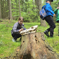 Expedice do Holašovic (4.B)