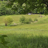 Expedice do Holašovic (4.B)