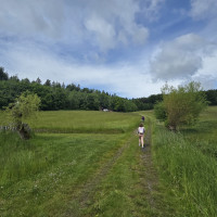 Expedice do Holašovic (4.B)