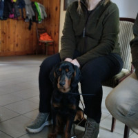 Návštěva myslivny Sluníčka a Včelky