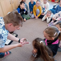 Výukový program Včely