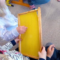 Výukový program Včely