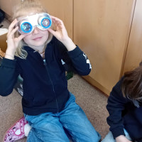 Výukový program Včely