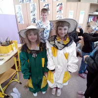 Výukový program Včely